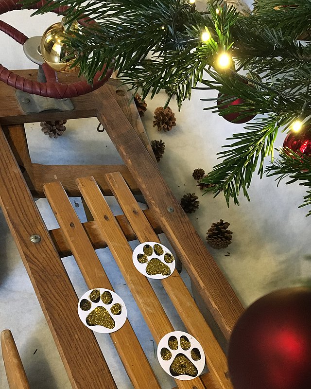 Auf Abteikater Theophils Glitzer-Weihnachts-Spuren