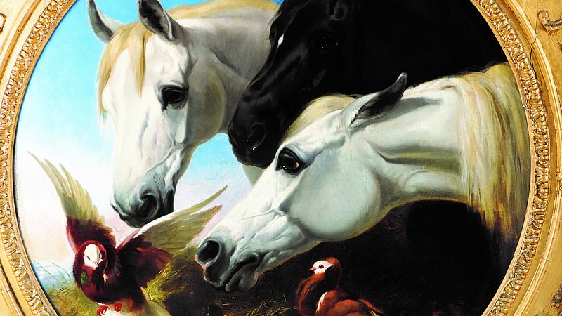 Das Pferd in Kunst und Kulturgeschichte